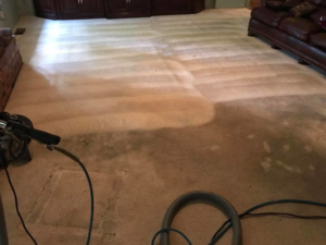 A carpet cleaning machine in action, showing a clean path on a residential carpet by Todd White Carpet Care LLC in Tallahassee, FL.