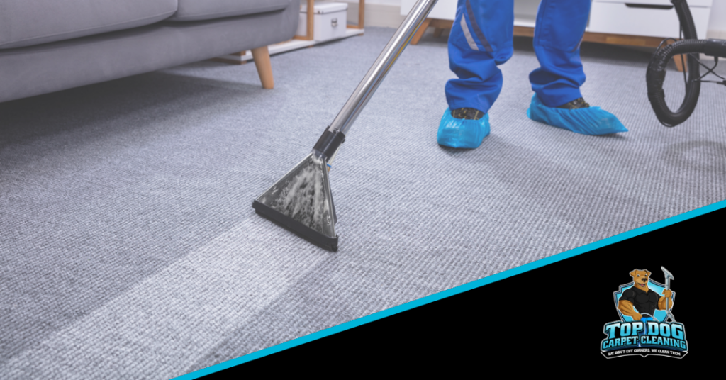 A professional carpet cleaner using a wand to clean a carpet, showcasing work by Top Dog Carpet Cleaning in Belton, MO.