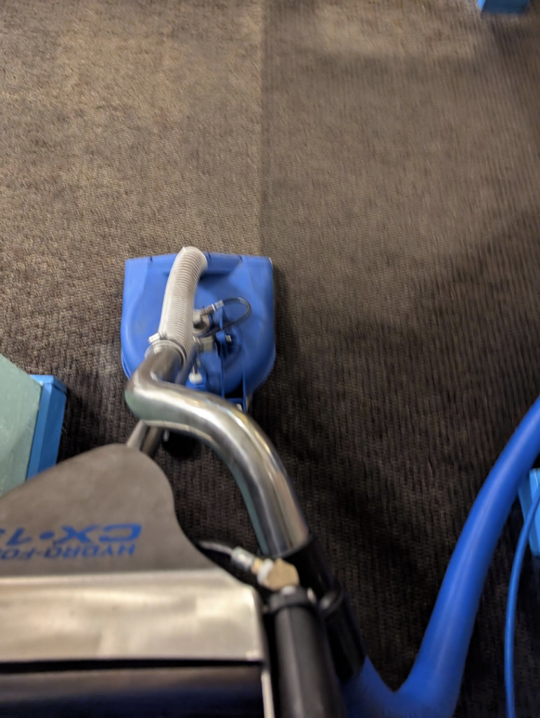 Carpet cleaning in progress, showing a clean path on a dark carpet by Top Floor Carpet Cleaning in Lenoir City, TN.