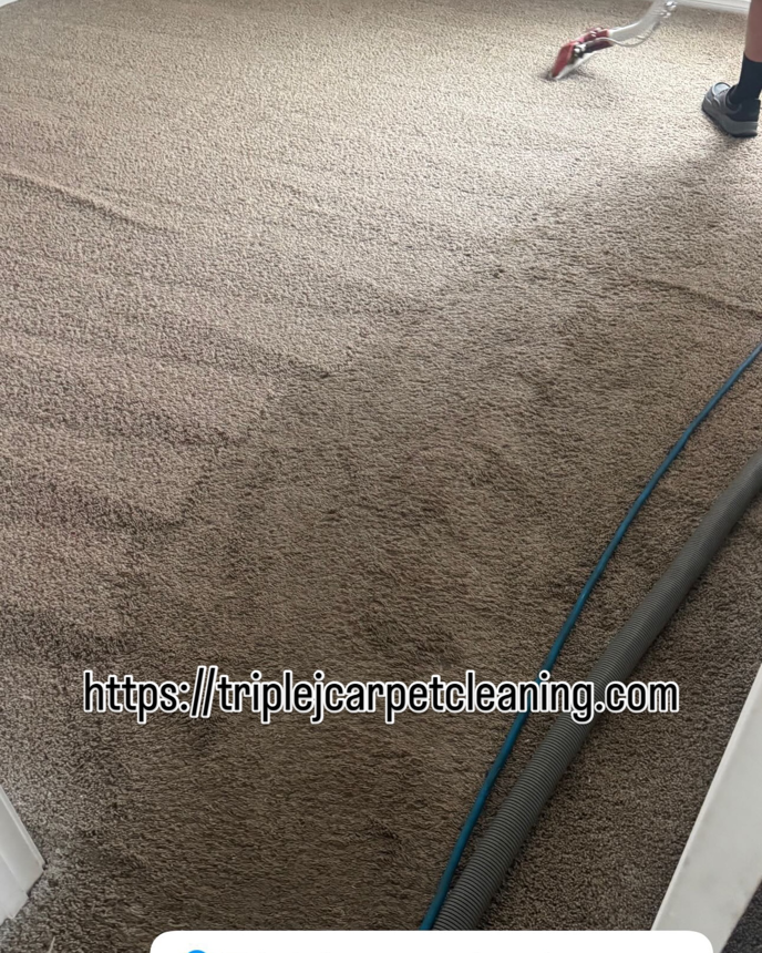 Carpet cleaning in progress, showing a clean path and dirty area, by Triple J Carpet Cleaning in North Las Vegas, NV.