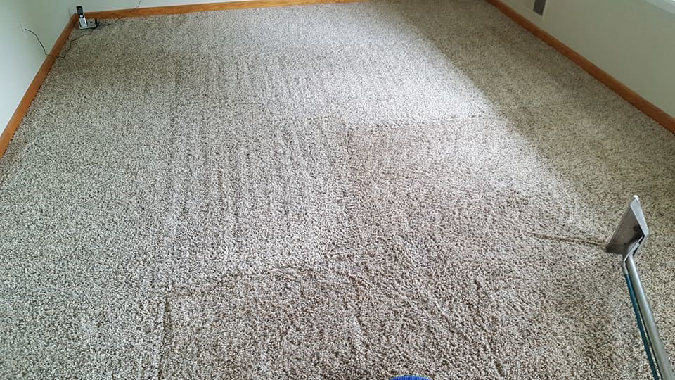 A carpet being professionally cleaned with a wand by Ultra Kleen Carpet & Upholstery Cleaning in Spencerport, NY.