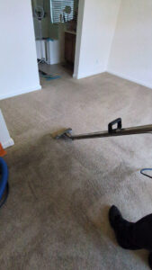 A carpet cleaning wand in action, showing the cleaning process on a residential carpet by Extra Mile Floor Care in Mesa, AZ.