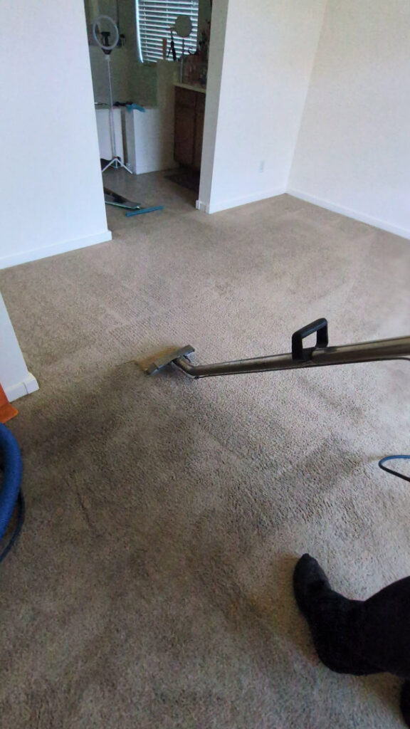 A carpet cleaning wand in action, showing the cleaning process on a residential carpet by Extra Mile Floor Care in Mesa, AZ.