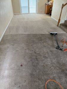 A carpet cleaning wand and hoses in use, showing a carpet cleaning job in progress by Alex's Carpet Cleaning in Omaha, NE.