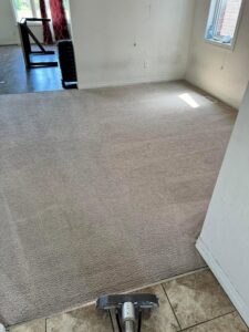A carpet cleaning wand in action, showing a clean path on a dirty carpet by Humble Brothers Carpet Cleaning in Durham, NC.