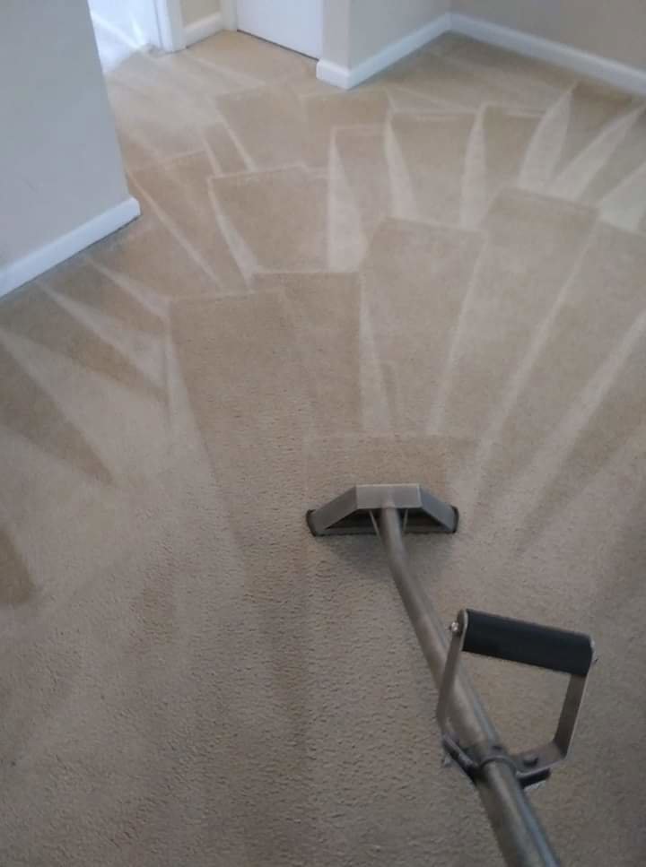 A carpet cleaning wand in action, creating clean lines on a carpet by Superior Carpet Cleaning And Flooring in Dallas, TX