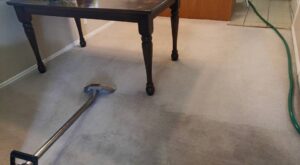 A carpet cleaning wand in action, showing a clear line between cleaned and uncleaned carpet by Utah Carpet Systems in Orem, UT.