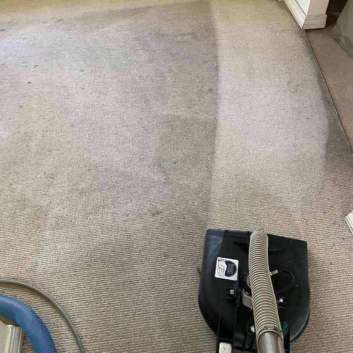 A carpet cleaning machine in action, showing a clean path on a carpet by White Glove Professional Cleaning Inc. in Jackson, WY.