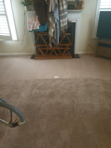 A carpet cleaning job in progress, showing a clean and uncleaned section, by Wilmington Carpet Cleaning NC in Wilmington, NC.