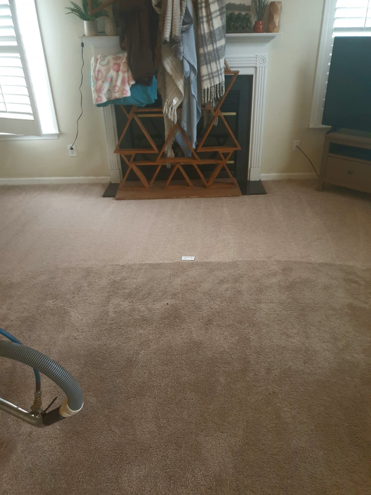 A carpet cleaning job in progress, showing a clean and uncleaned section, by Wilmington Carpet Cleaning NC in Wilmington, NC.