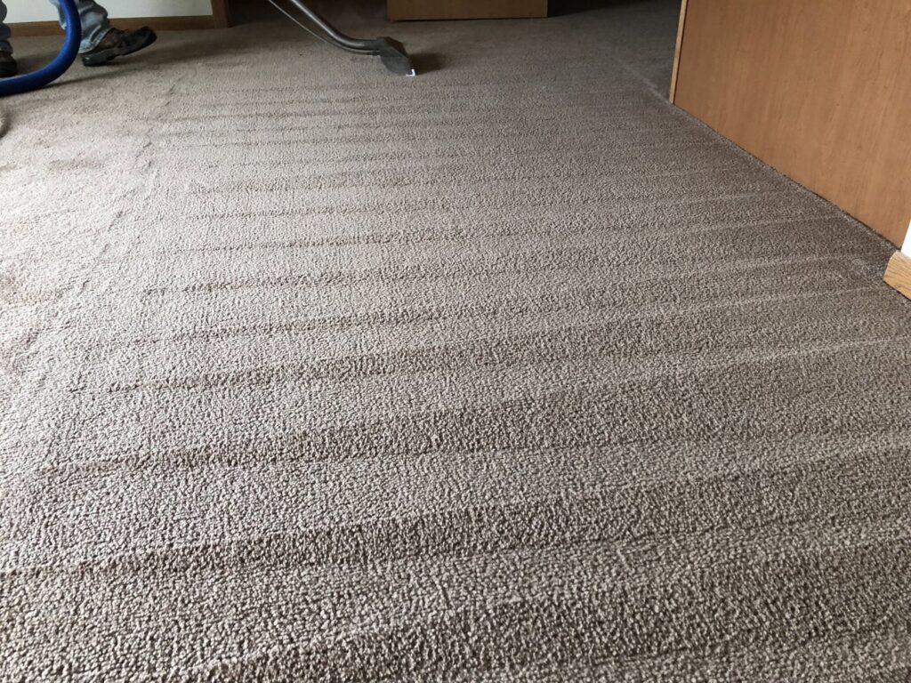 A professional cleaning a carpet with specialized equipment, demonstrating a job by Sam I Am Carpet Cleaning in Rossville, IN