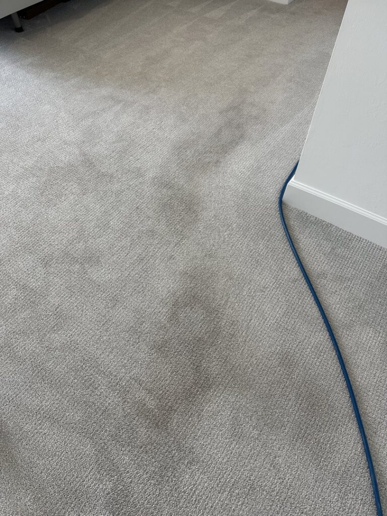Professional carpet cleaning in progress with a visible hose by Captain Steamer in Cape Coral, FL.