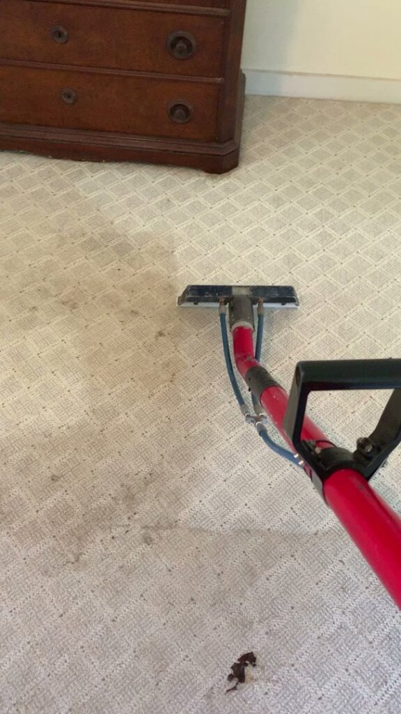 A professional performing carpet cleaning with a specialized machine, showing the cleaning process in action at C&R's Carpet Cleaning in Ellsworth, ME.