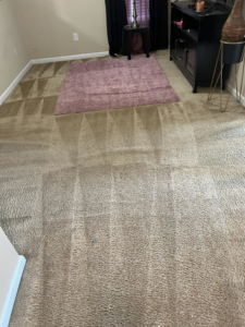 Carpet cleaning in progress, showing visible cleaning lines on the floor, performed by HutchPro Carpet Cleaning Plus in Indianapolis, IN.