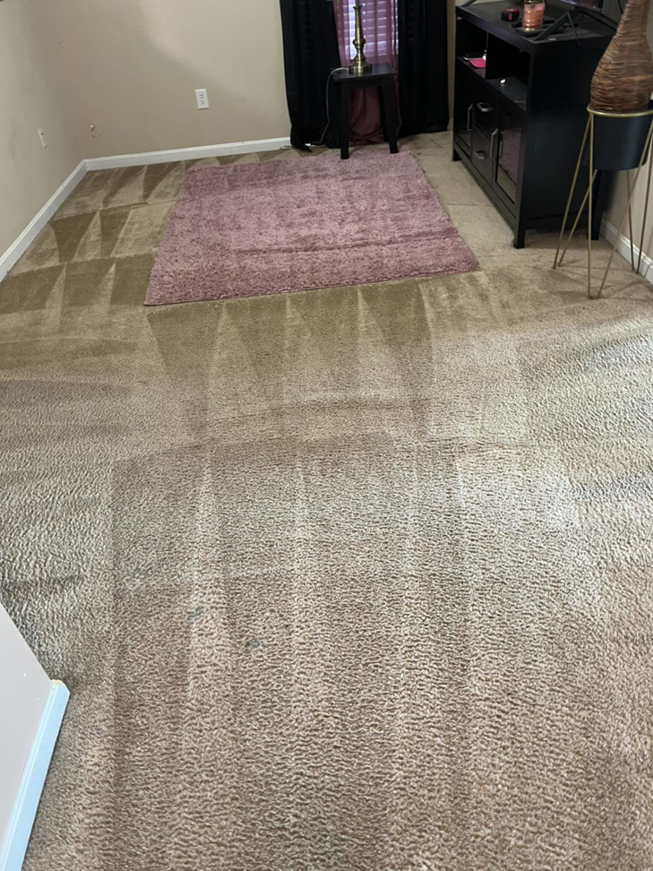 Carpet cleaning in progress, showing visible cleaning lines on the floor, performed by HutchPro Carpet Cleaning Plus in Indianapolis, IN.
