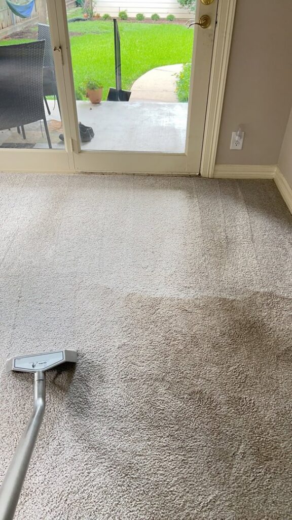 A professional carpet cleaning in progress, showing a clean and dirty section, by WOW Total Cleaning & Restoration in Austin, TX