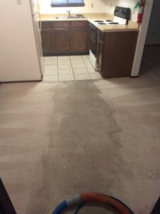 Carpet being cleaned in a kitchen area, with a cleaning hose visible, by Carpet Masters of Albuquerque, NM.