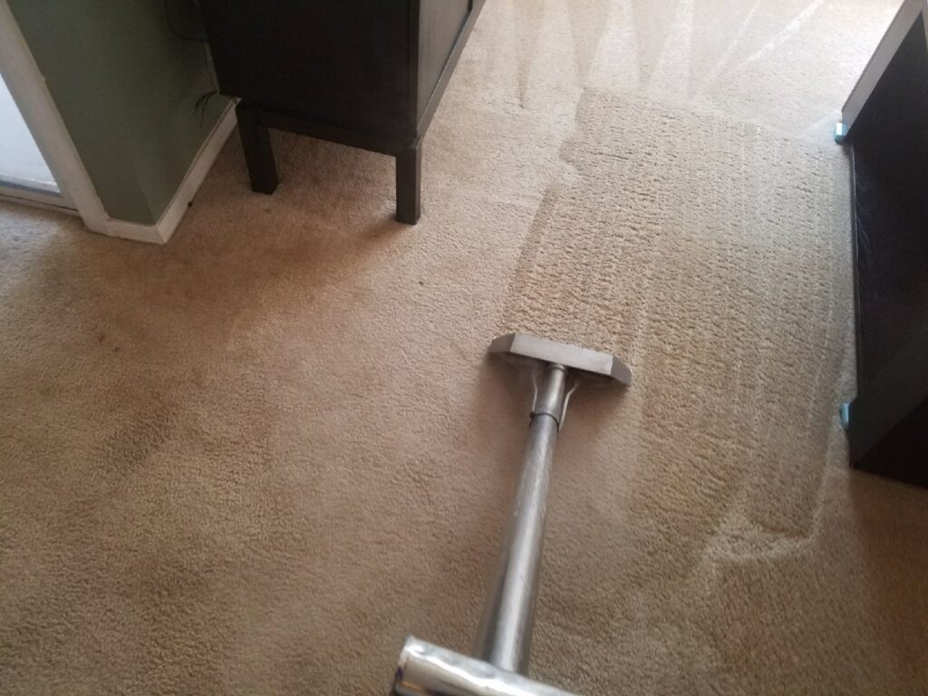 Carpet cleaning in progress, showing distinct clean lines on a light carpet by Regal Carpet Cleaning Inc. in Tucson, AZ