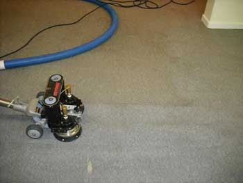 A professional carpet cleaning machine actively cleaning a carpet for Alexandria Green Carpet & Rug Cleaning in Alexandria, VA.