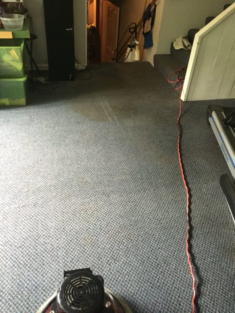 A carpet cleaning machine actively working on a dirty carpet by A-1 Kwik Dry Carpet Cleaning in Louisville, KY.
