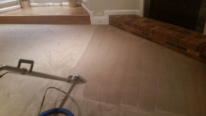 A carpet cleaning machine in action, demonstrating the cleaning process on a carpet by Chichi Carpet Cleaning in High Point, NC