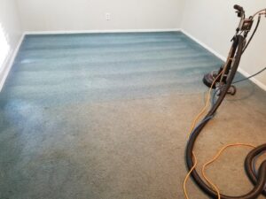 A professional carpet cleaning machine in action, showing a clean strip next to a dirty area by D&H Anytime Carpet Cleaning LLC in Mobile, AL.