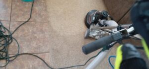 A professional carpet cleaning machine in action on a residential carpet, performed by El Paso Carpet Care in El Paso, TX.