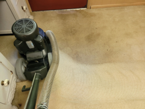 A carpet cleaning machine in action, showing a clean path on a dirty carpet at Foothills Steam Carpet Cleaners in Fort Collins, CO.