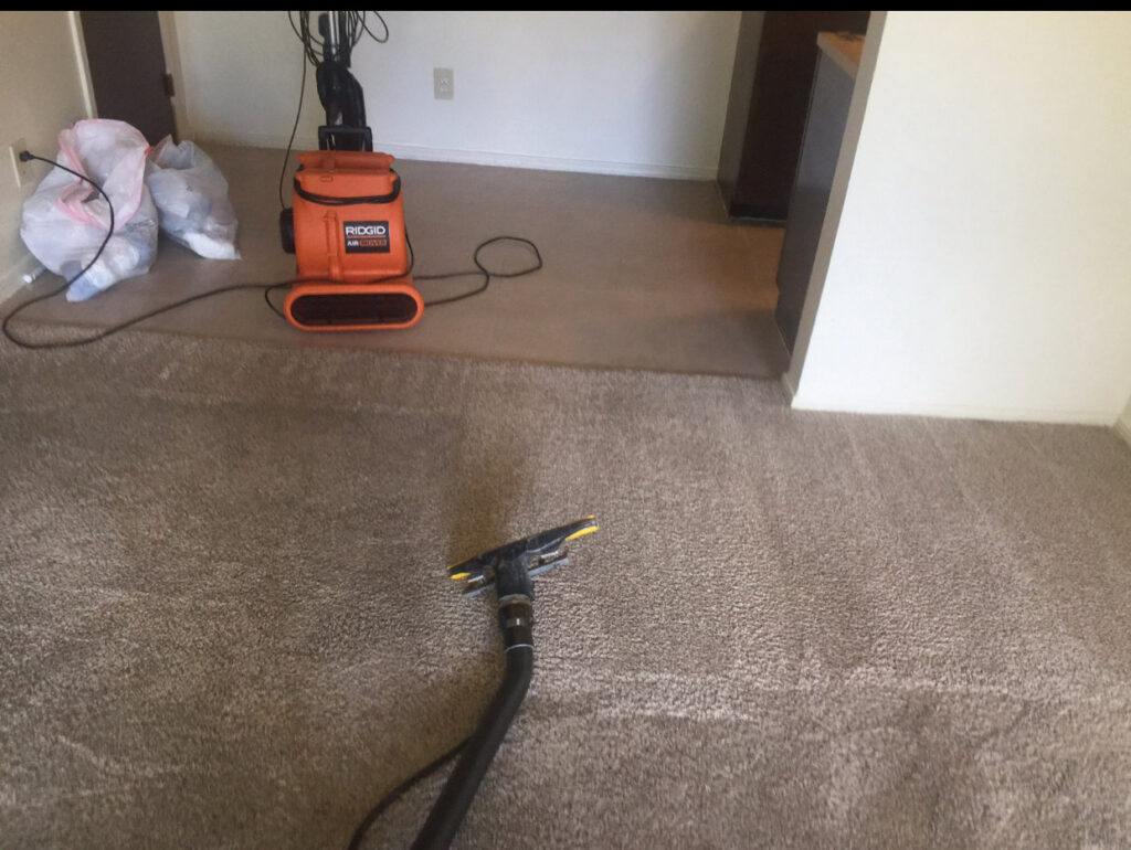 A carpet cleaning machine in action, showing a freshly cleaned path by Martin Pro Cleaner in Tulsa, OK