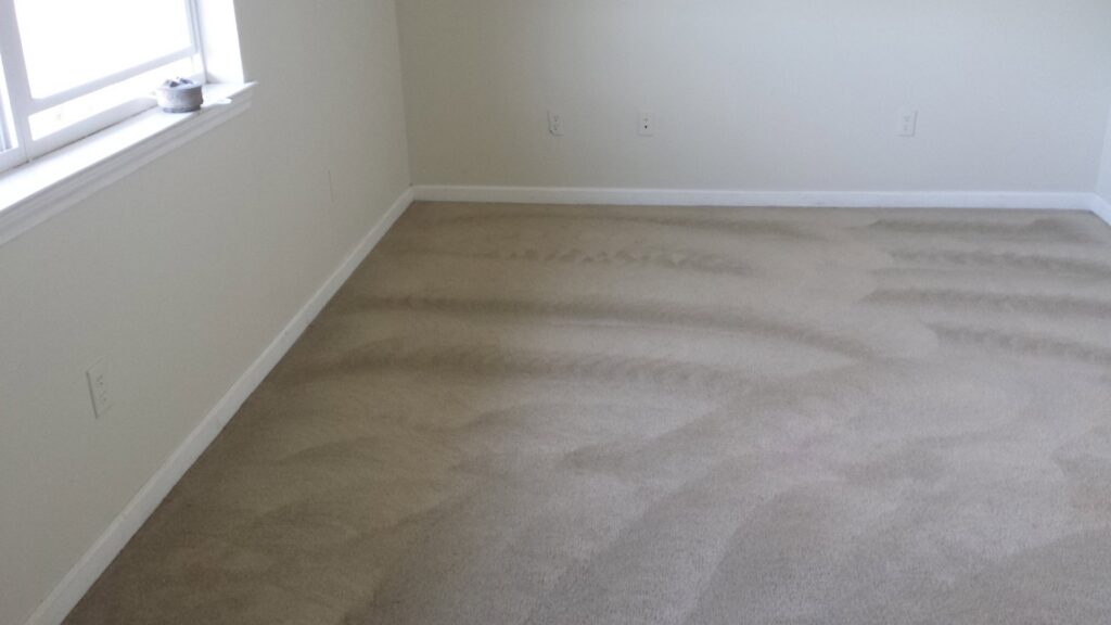 A professional carpet cleaning machine actively cleaning a carpet, showing the progress of Sparky Carpet Cleaning in Baton Rouge, LA.