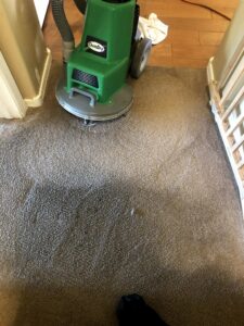 A green Chem-Dry carpet cleaning machine actively cleaning a carpet, demonstrating services by Sunrise Chem-Dry in Glendale, AZ.