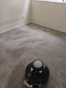 A professional carpet cleaning machine in operation on a residential carpet by Greenco2 in Grand Rapids, MI.