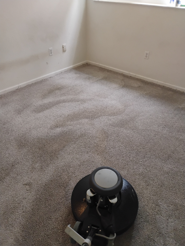 A professional carpet cleaning machine in operation on a residential carpet by Greenco2 in Grand Rapids, MI.
