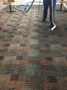 A professional using a carpet cleaning machine, showing a clean path on a dirty carpet by Bee Clean Carpet Steam Cleaning in Dover, DE.