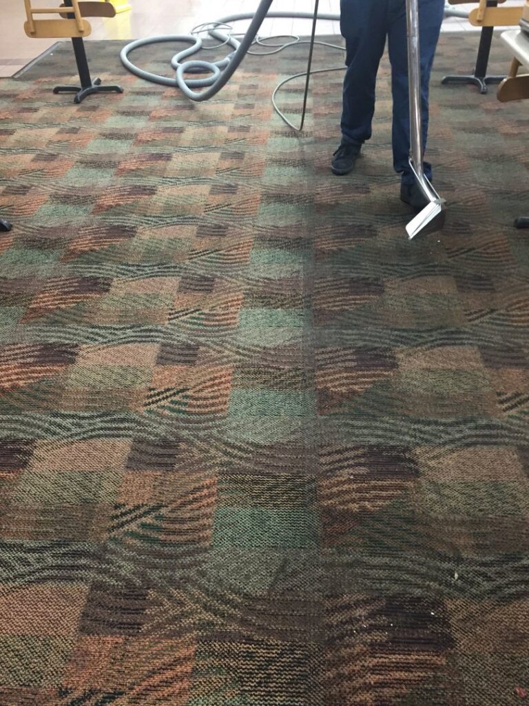 A professional using a carpet cleaning machine, showing a clean path on a dirty carpet by Bee Clean Carpet Steam Cleaning in Dover, DE.