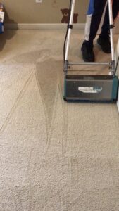 A professional carpet cleaning machine cleaning a light-colored carpet, showing clean lines, by Dry Green Cleaning in Detroit, MI.