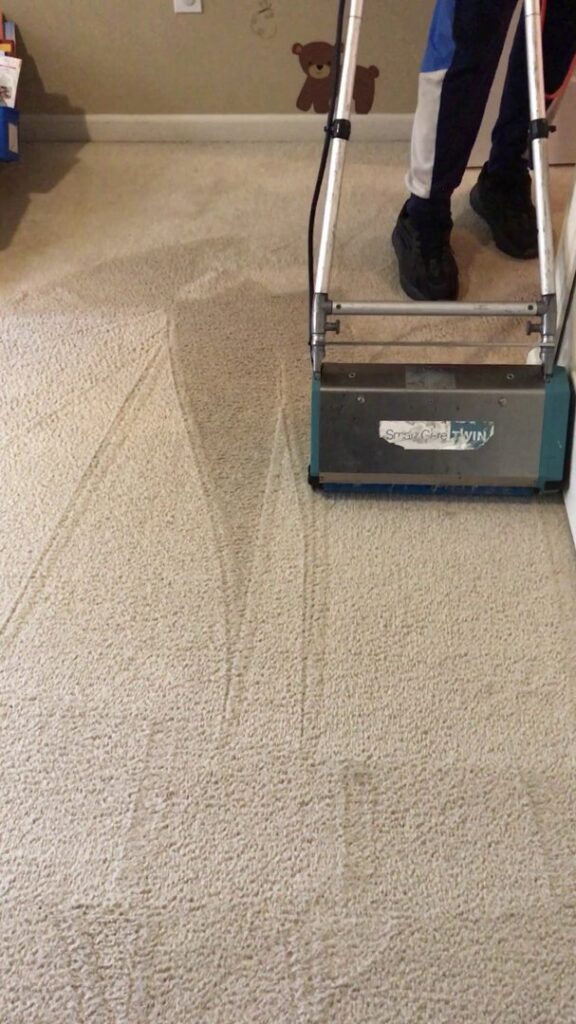 A professional carpet cleaning machine cleaning a light-colored carpet, showing clean lines, by Dry Green Cleaning in Detroit, MI.