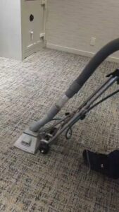 A professional carpet cleaning machine in action on a patterned carpet by Cosmo Carpet Cleaning in Princeton, NJ.