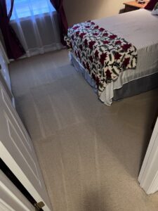 A carpet cleaning machine working on a stained light-colored carpet, showing before and after cleaning by Hampton Carpet Cleaning Pros in Hampton, VA.