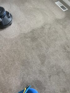 A carpet cleaning machine actively working on a dirty carpet, showing the cleaned path, by A Plus Carpet Care in Redondo Beach, CA.