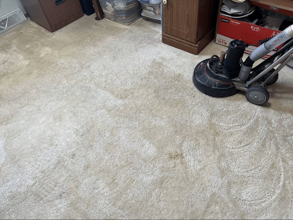 A carpet cleaning machine actively working on a dirty carpet, showing the cleaned area by Carpet Master in Aberdeen, SD.