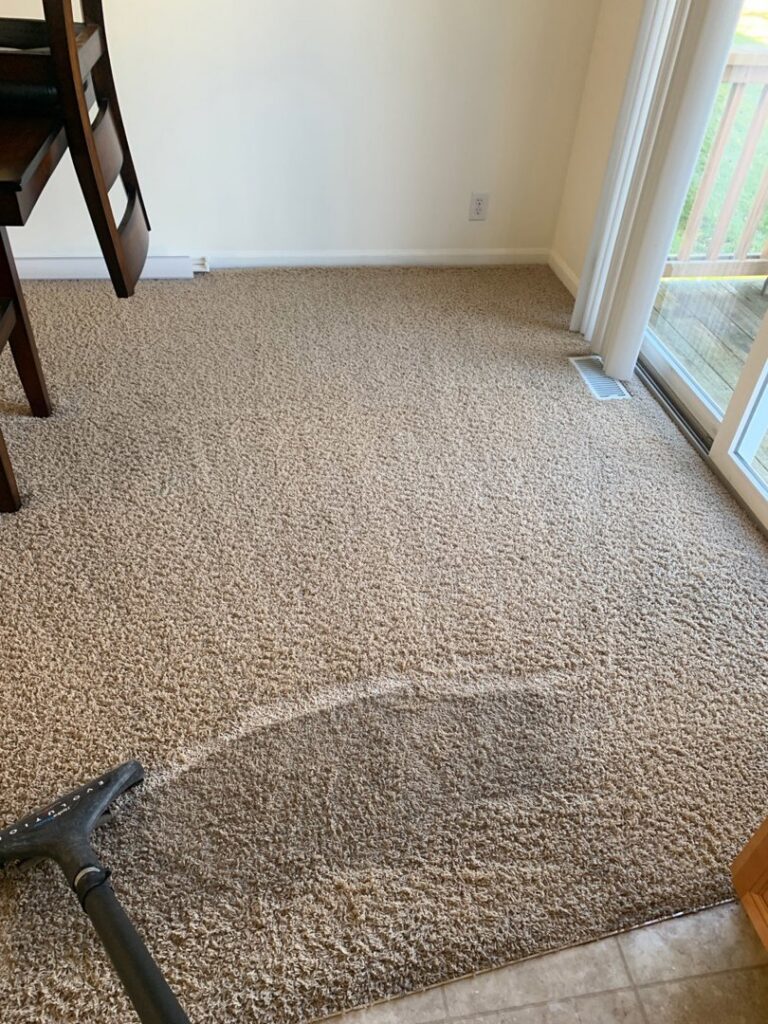 A clear clean path visible on the carpet during a professional cleaning service by Elementscarpetcleaning.net in Omaha, NE.