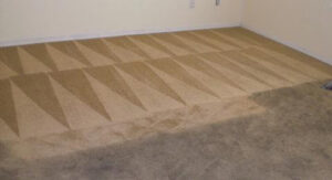 A carpeted room showing distinct cleaning patterns before and after service by Two Sheas Restoration in Tulsa, OK.