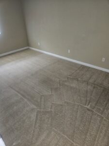 A light-colored carpet showing distinct cleaning patterns, indicating a professional carpet cleaning service by Hendry's Carpet Care in Tallahassee, FL.