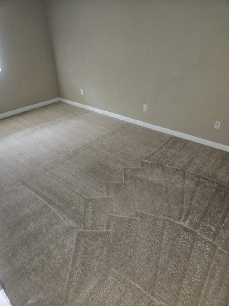 A light-colored carpet showing distinct cleaning patterns, indicating a professional carpet cleaning service by Hendry's Carpet Care in Tallahassee, FL.