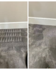 Before and after comparison of carpet cleaning, showing distinct cleaning patterns by Hughes Dry Professional Carpet Care in Marietta, GA.