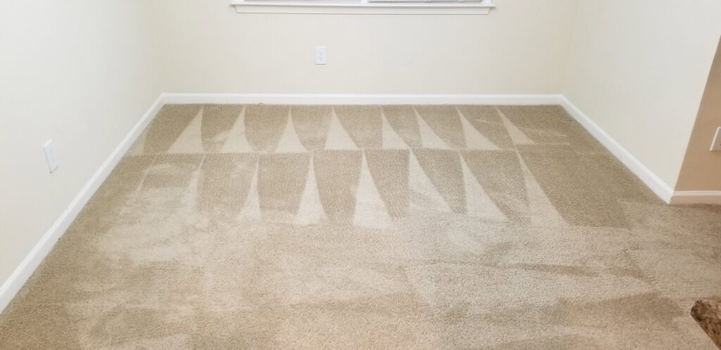 Carpet cleaning patterns visible on a residential carpet near a fireplace by American Steam in Suffolk, VA.