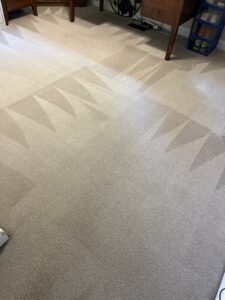 Clean carpet showing distinct cleaning patterns after service by Regional Carpet Care in Garner, NC.