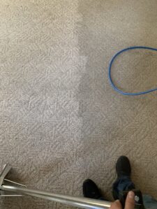 A carpet cleaning process showing the clear difference between cleaned and dirty sections by 5 Alarm Carpet Care in West Allis, WI.