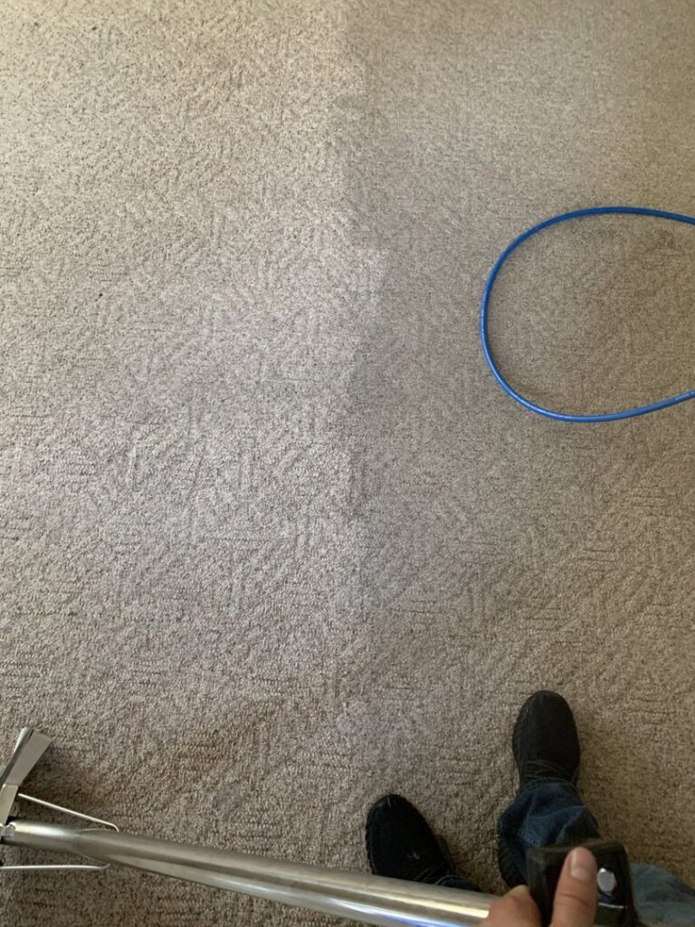 A carpet cleaning process showing the clear difference between cleaned and dirty sections by 5 Alarm Carpet Care in West Allis, WI.